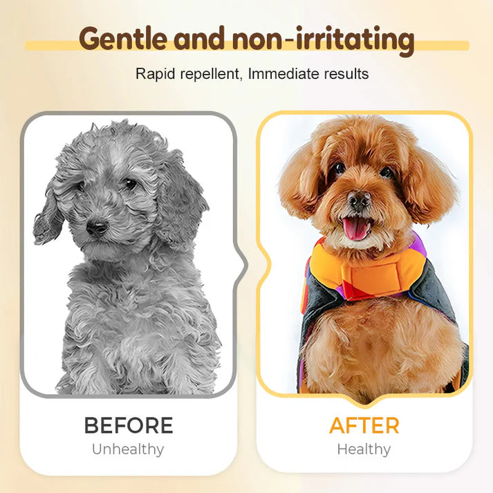Flea & Tick Repellent Spray for Cats and Dogs | 🔥Buy 1 Get 1 Free🔥