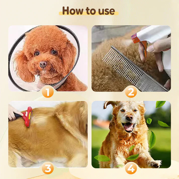 Flea & Tick Repellent Spray for Cats and Dogs | 🔥Buy 1 Get 1 Free🔥