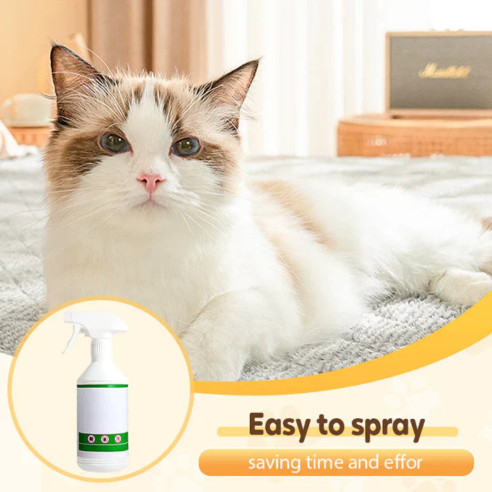 Flea & Tick Repellent Spray for Cats and Dogs | 🔥Buy 1 Get 1 Free🔥