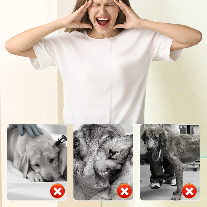 Flea & Tick Repellent Spray for Cats and Dogs | 🔥Buy 1 Get 1 Free🔥